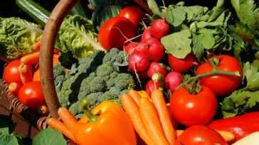Certains légumes poussent mieux en ville que dans les champs agricoles, avec des rendements jusqu'à 4 fois supérieurs 14 Certains Légumes Poussent Mieux En Ville Que Dans Les Champs