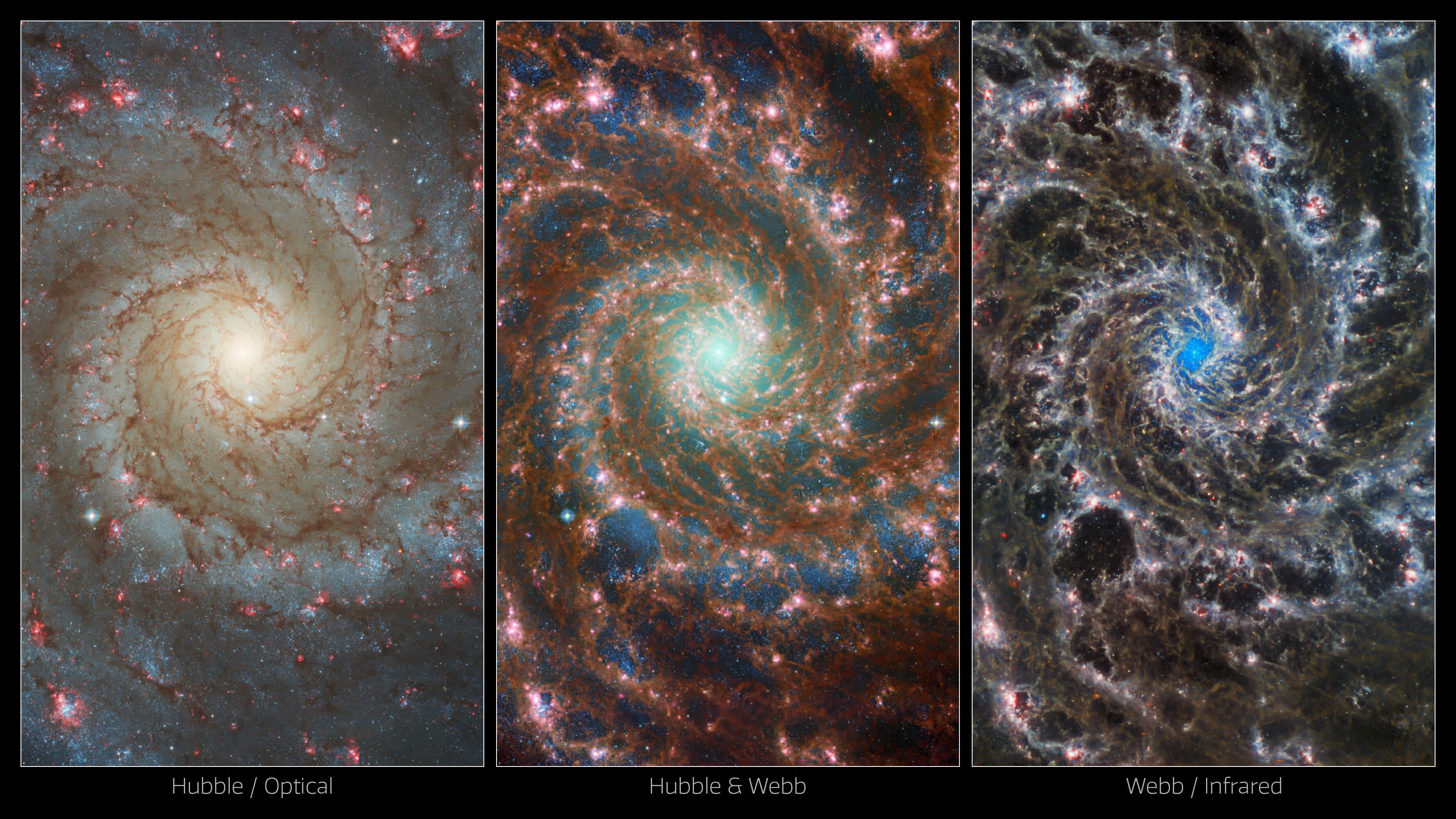 Webb et Hubble s'associent sur une image multispectre de Phantom Galaxy 3 1661890511 133 Webb et Hubble sassocient sur une image multispectre de Phantom
