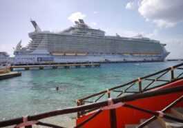Royal Caribbean Apporte L'internet Par Satellite Starlink à Tous Ses