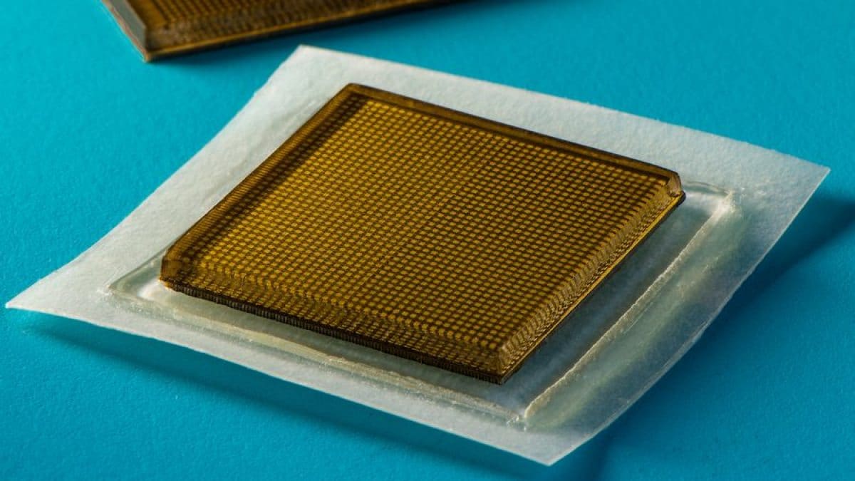 Ce patch adhésif montre des images nettes du cœur, des poumons et d'autres organes internes 2 Le MIT / Crédit : Patch adhésif pour ultrasons des ingénieurs du MIT