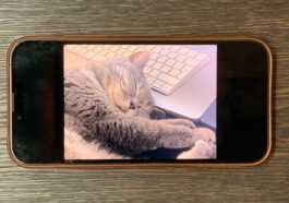 Demande de fonctionnalité : conserver les photos et vidéos récentes et préférées sur l'iPhone
