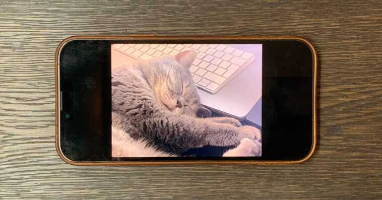 Demande de fonctionnalité : conserver les photos et vidéos récentes et préférées sur l'iPhone 1 Demande de fonctionnalité : conserver les photos et vidéos récentes et préférées sur l'iPhone