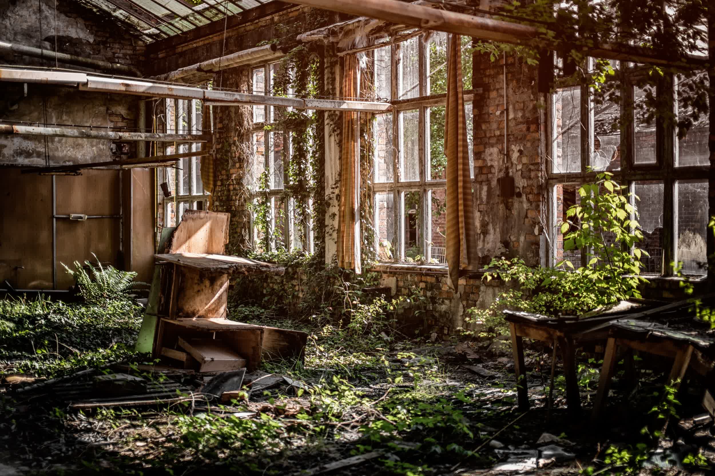 Hbo Partage Son Premier Regard Sur "the Last Of Us"