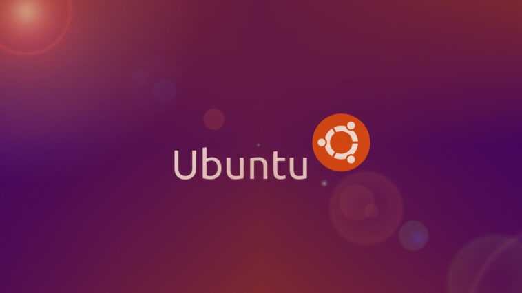 Linux aura un support natif pour .NET 6 1 Linux Aura Un Support Natif Pour .net 6