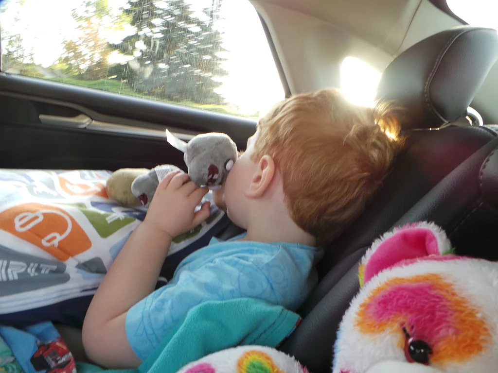 Pourquoi les enfants détestent les longs trajets en voiture, selon la science 2 Pourquoi les enfants detestent les longs trajets en voiture selon
