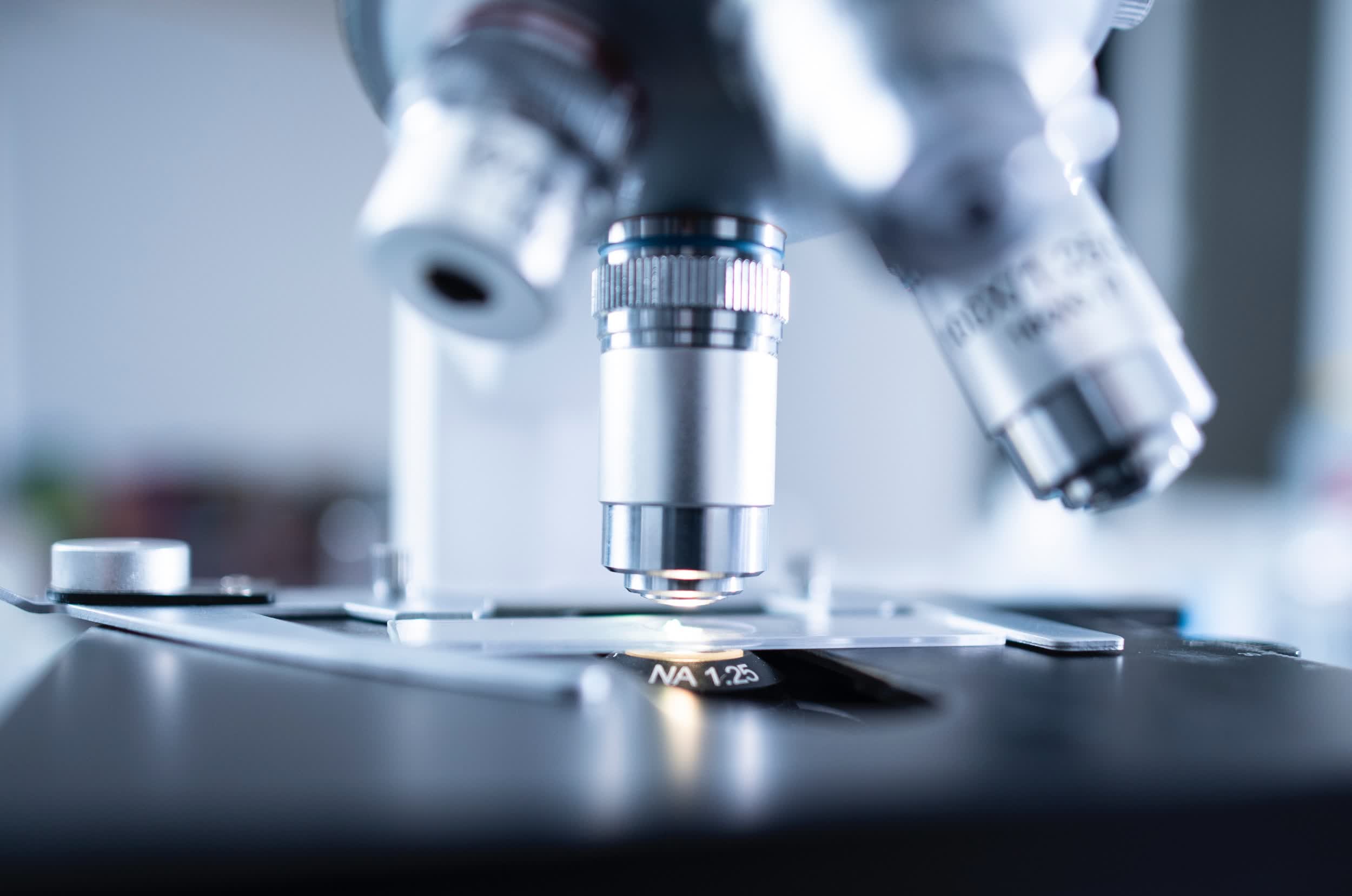 Un scientifique découvre accidentellement la capacité de mémoire cérébrale d'un composé chimique 2 Un scientifique decouvre accidentellement la capacite de memoire cerebrale dun