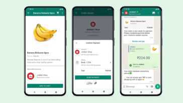 WhatsApp, la super appli ? L'épicerie intégrée à l'application est désormais disponible en Inde 9 Whatsapp, La Super Appli ? L'épicerie Intégrée à L'application Est