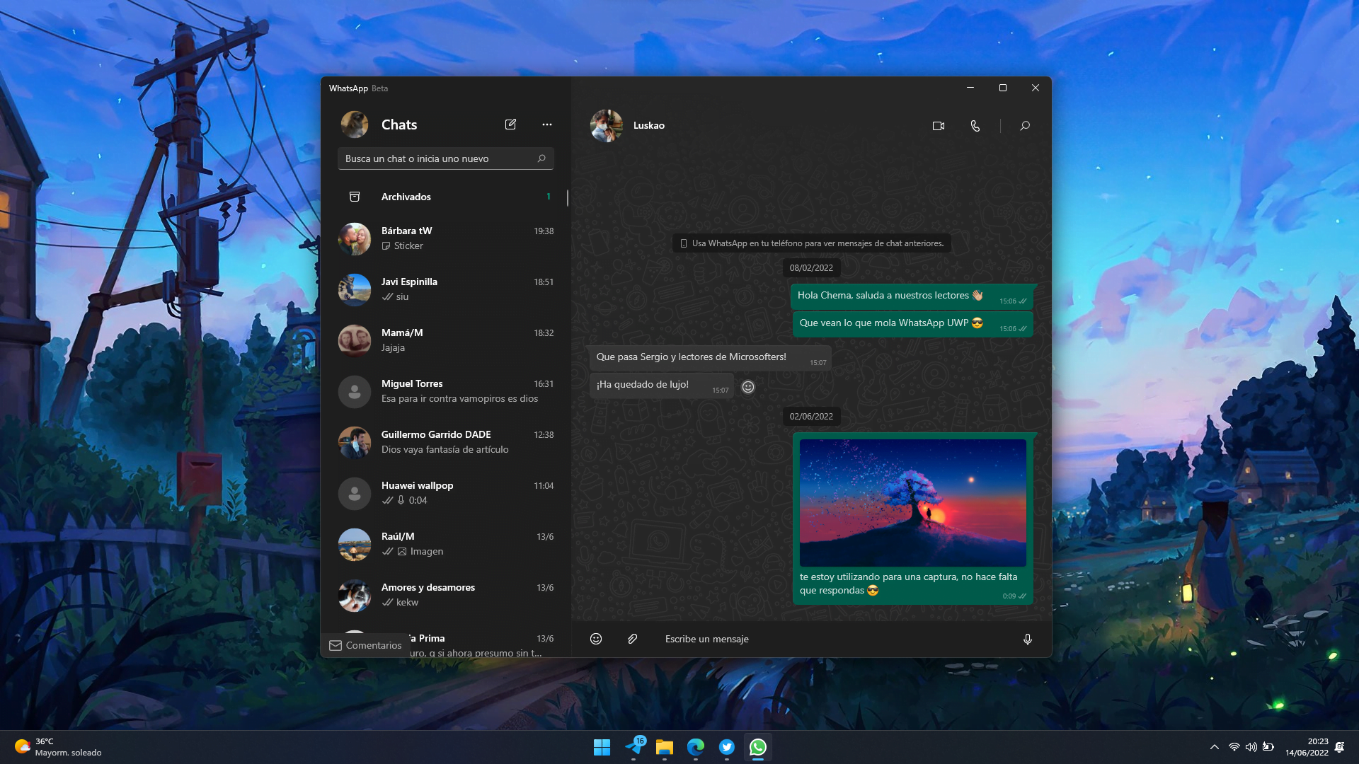 WhatsApp lance une application native pour Windows 10 et Windows 11 2 WhatsApp bêta (UWP)