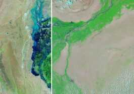 De Nouvelles Images Satellites Montrent Ce Qui Se Passe Au