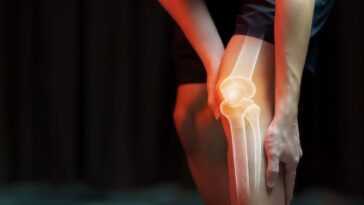 Un nouveau type d'hydrogel vient remplacer le cartilage du genou endommagé 19 Un Nouveau Type D'hydrogel Vient Remplacer Le Cartilage Du Genou