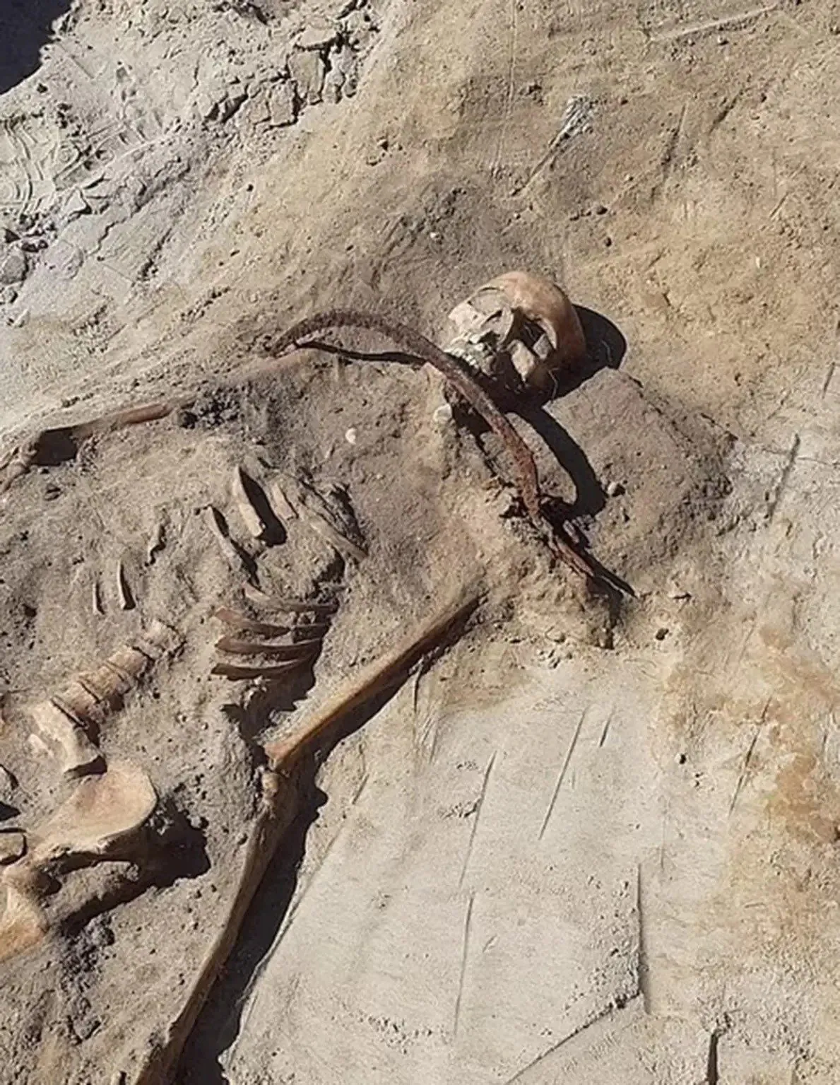 Femme "vampire" enterrée avec une faux sur la gorge pour l'empêcher de se réveiller : le rituel macabre 4 Crédit : Mirosław Blicharski / Aleksander