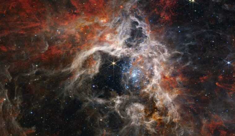 La mystérieuse "araignée cosmique" de la nébuleuse de la tarentule capturée par le télescope spatial James Webb 1 La Mystérieuse "araignée Cosmique" De La Nébuleuse De La Tarentule