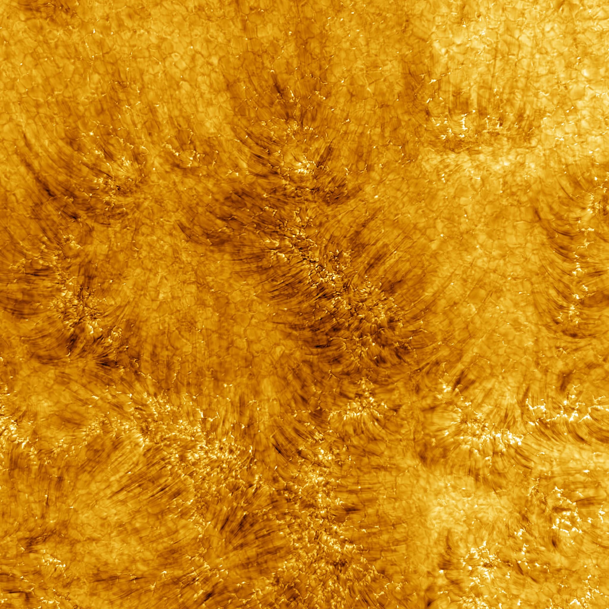 Ces photos incroyables montrent à quoi ressemble la surface du Soleil 3 La première image de la chromosphère - la zone de l'atmosphère solaire au-dessus de la surface - prise avec le télescope solaire Daniel K. Inouye le 3 juin 2022 / Crédit : NSO/AURA/NSF