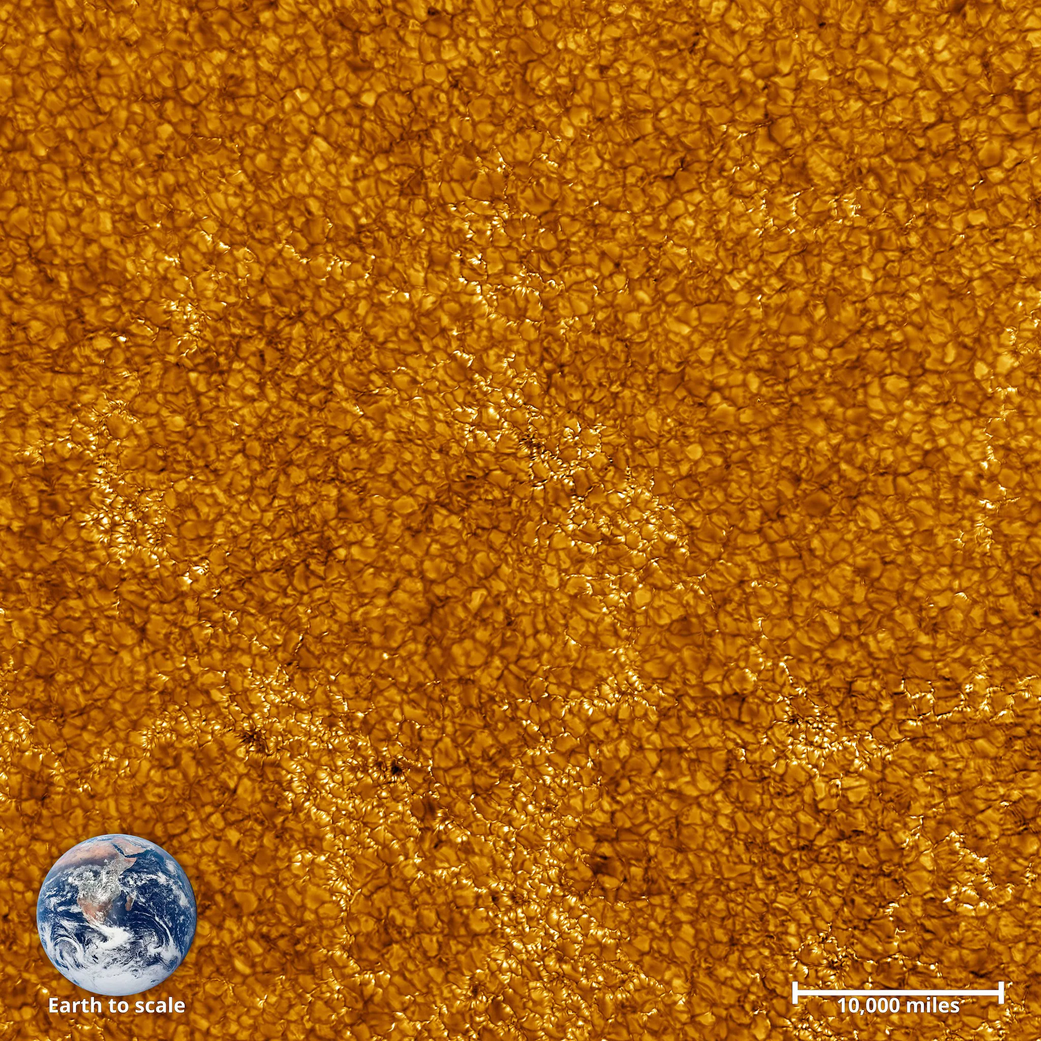Ces photos incroyables montrent à quoi ressemble la surface du Soleil 6 La photo de la surface solaire comparée à l'image de la Terre à l'échelle / Crédit : NSO/AURA/NSF