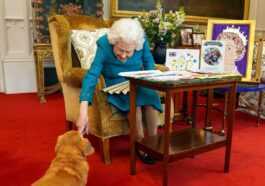 Non, La Reine Elizabeth N'était Pas Une Amoureuse Des Animaux