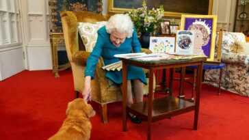 Non, la reine Elizabeth n'était pas une amoureuse des animaux 1 Non, La Reine Elizabeth N'était Pas Une Amoureuse Des Animaux