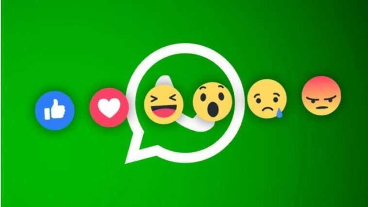 WhatsApp travaille sur une option pour modifier les messages déjà envoyés 1 Whatsapp Travaille Sur Une Option Pour Modifier Les Messages Déjà