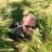 Image d'utilisateur Twitter