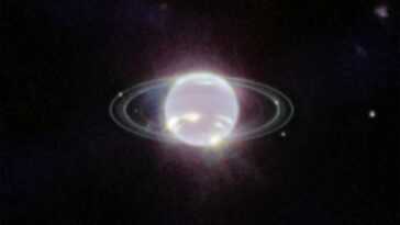 Le télescope spatial James Webb montre Neptune et ses anneaux comme jamais vus auparavant 17 Le Télescope Spatial James Webb Montre Neptune Et Ses Anneaux