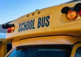 Spacex Veut Mettre Internet Starlink Dans Les Bus Scolaires Pour
