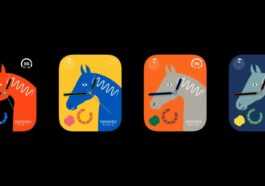 Apple Watch Hermès Lucky Horse visages