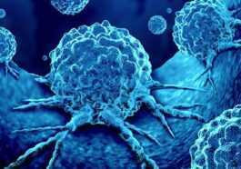 Ces « Micro Usines » De Médicaments Implantables Vainquent Le Cancer