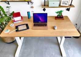 Flexispot E7 Test Review Bureau Assis Debout Motorisé (67)