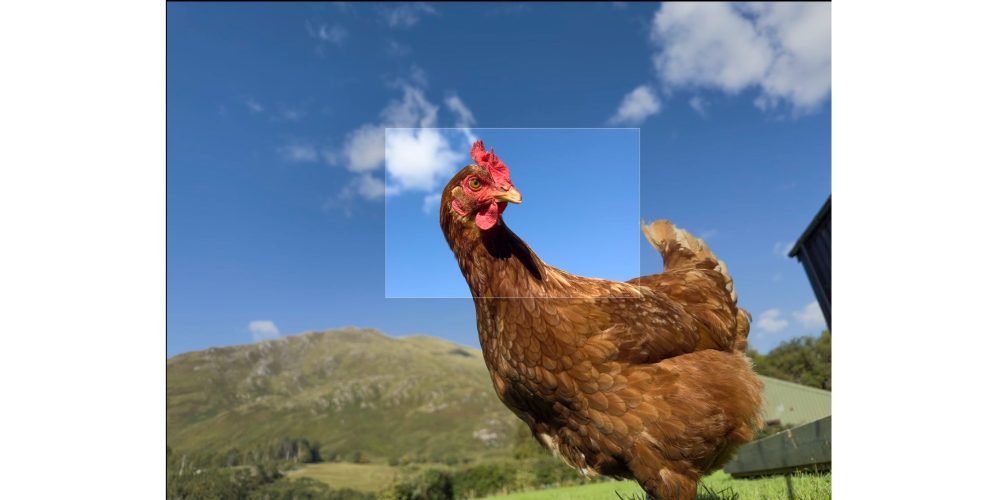 Travel photographer Austin Mann puts iPhone 14 Pro new 48MP camera to test Le photographe de voyage Austin Mann teste le nouvel appareil