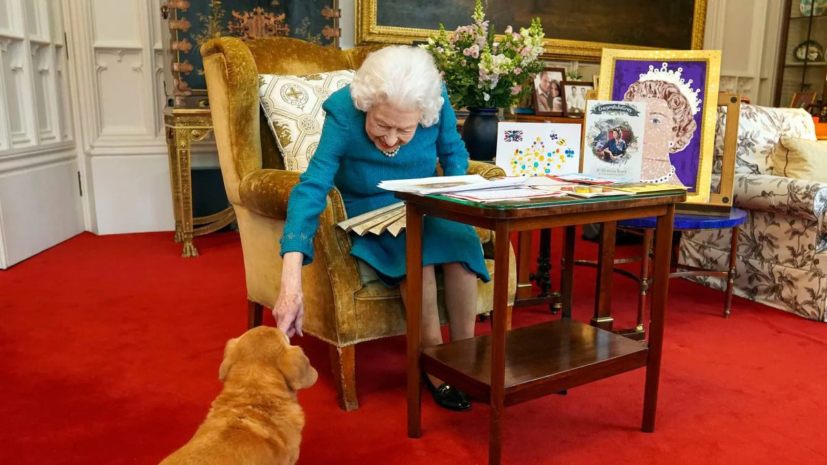 Non, la reine Elizabeth n'était pas une amoureuse des animaux 2 La reine Elizabeth II avec un de ses Dorgi (croisement entre un teckel et un corgi)