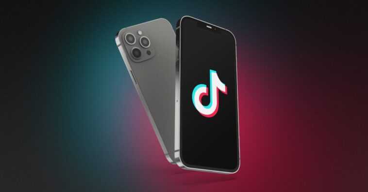 TikTok nie que des pirates aient divulgué son code source et des données utilisateur sensibles 1 TikTok nie que des pirates aient divulgué son code source et des données utilisateur sensibles