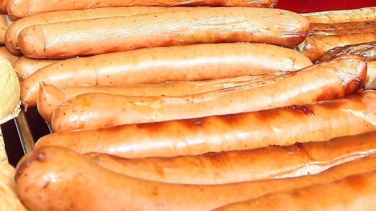 Wurstel contaminé par Listeria, qu'est-ce que c'est et où est la bactérie qui a déclenché l'alarme 2 Wurstel contamine par Listeria quest ce que cest et ou est