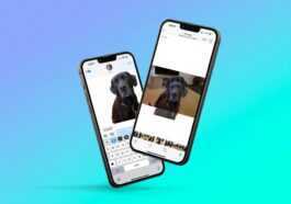 iOS 16 peut supprimer instantanément l'arrière-plan de n'importe quelle image, voici comment