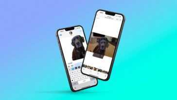 iOS 16 peut supprimer instantanément l'arrière-plan de n'importe quelle image, voici comment