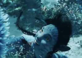 Avatar: The Sense Of Water, Les Premières Estimations De La