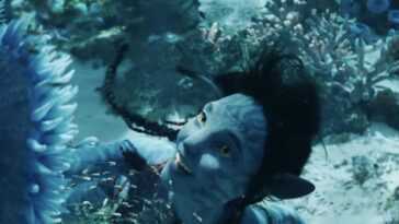 Avatar: The Sense Of Water, Les Premières Estimations De La