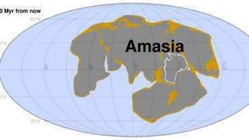 Dans 200 Millions D'années Naîtra Amasia, Le Supercontinent Qui Réunira