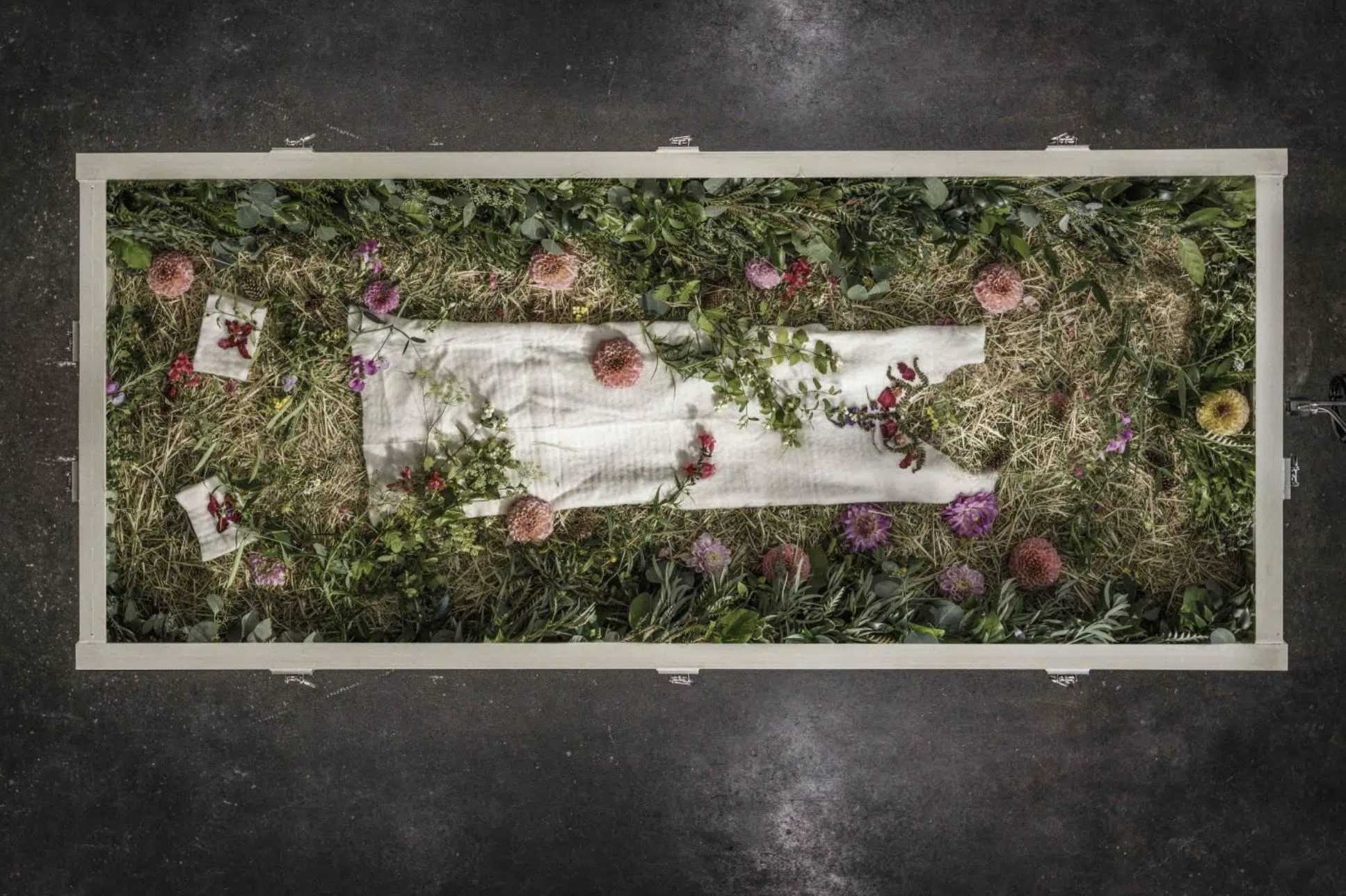 De cadavres à engrais pour les jardins, la terramation après la mort devient nourriture pour les plantes 59 De Cadavres à Engrais Pour Les Jardins, La Terramation Après
