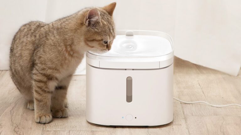 Xiaomi Food Feeder : avons-nous vraiment besoin d'une technologie intelligente pour nos animaux de compagnie ? 3 1664927827 41 Xiaomi Food Feeder avons nous vraiment besoin dune technologie intelligente