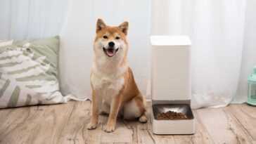 Xiaomi Food Feeder : avons-nous vraiment besoin d'une technologie intelligente pour nos animaux de compagnie ? 28 Xiaomi Food Feeder : Avons Nous Vraiment Besoin D'une Technologie Intelligente