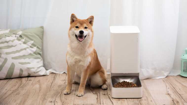 Xiaomi Food Feeder : avons-nous vraiment besoin d'une technologie intelligente pour nos animaux de compagnie ? 1 Xiaomi Food Feeder : Avons Nous Vraiment Besoin D'une Technologie Intelligente