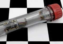 Comment Construire Un Vibromasseur Pour Tricher Aux échecs