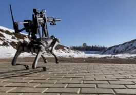 "ne Tirez Pas Sur Nos Chiens Robots", Car Les Entreprises
