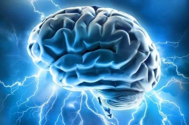 Pourquoi les femmes pourraient être plus sensibles à la maladie d'Alzheimer 1 Pourquoi Les Femmes Pourraient être Plus Sensibles à La Maladie