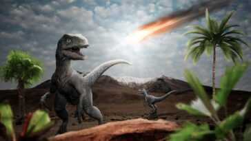 L'astéroïde Qui A Provoqué L'extinction Des Dinosaures A Provoqué Un