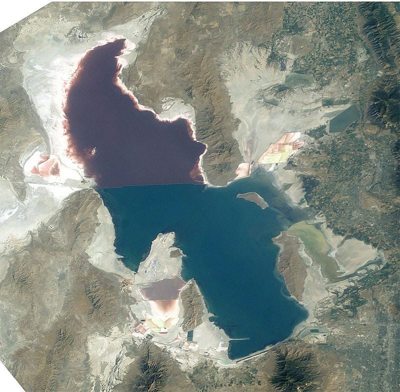 Le précieux écosystème du Grand Lac Salé est sur le point de s'effondrer et ce n'est que la faute de l'homme 4 1665397809 985 Le precieux ecosysteme du Grand Lac Sale est sur le