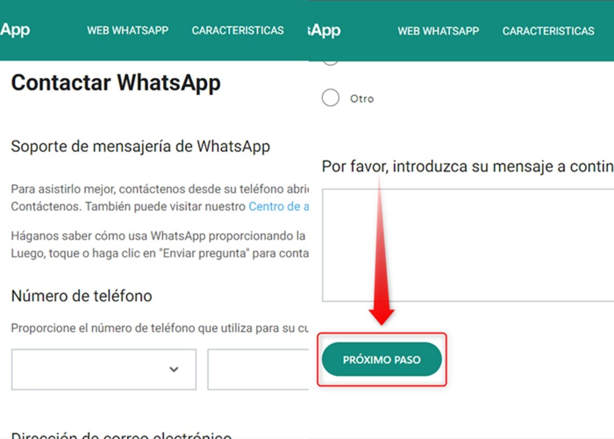 Comment contacter WhatsApp tous les moyens