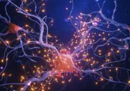 Un Petit Groupe De Cellules élevées En Laboratoire A Appris