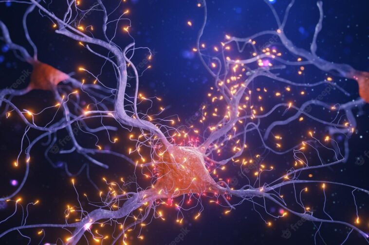 Un petit groupe de cellules élevées en laboratoire a appris à jouer à un jeu vidéo 1 Un Petit Groupe De Cellules élevées En Laboratoire A Appris