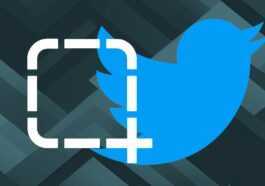 Vont Ils Interdire Les Captures D'écran Sur Twitter ?