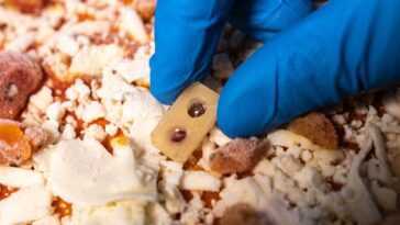 Ce Capteur De Surgelés Est Comestible Et Change De Couleur